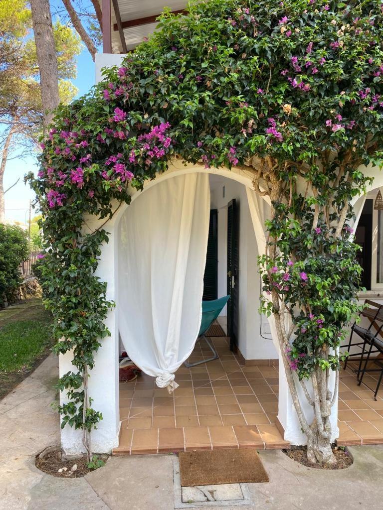 Bellver 1, Ciutadella-Cala Blanca Кала-Бланка Номер фото